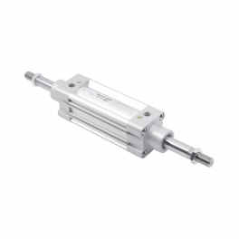 Пневмоцилиндр DMCAD-50-100 Pemaks