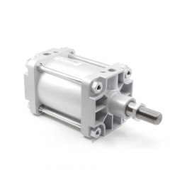 Пневмоцилиндр PMBYA-160-200 Pemaks